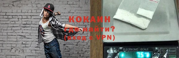 индика Аркадак