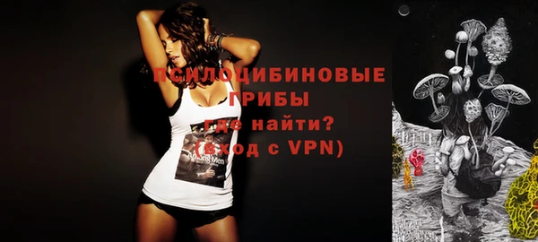 индика Аркадак