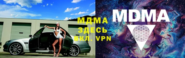 индика Аркадак