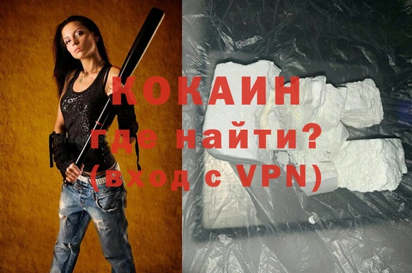 индика Аркадак