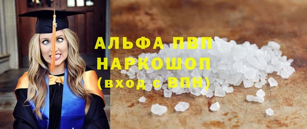 индика Аркадак