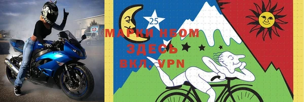 индика Аркадак